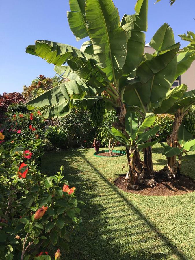 La Quinta Garden Villa Santa Úrsula Dış mekan fotoğraf